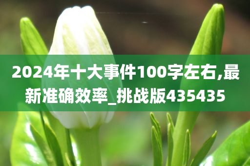 2024年十大事件100字左右,最新准确效率_挑战版435435