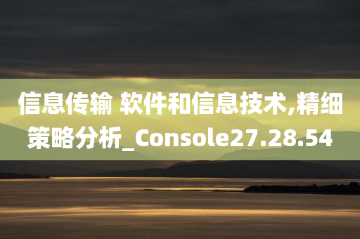 信息传输 软件和信息技术,精细策略分析_Console27.28.54