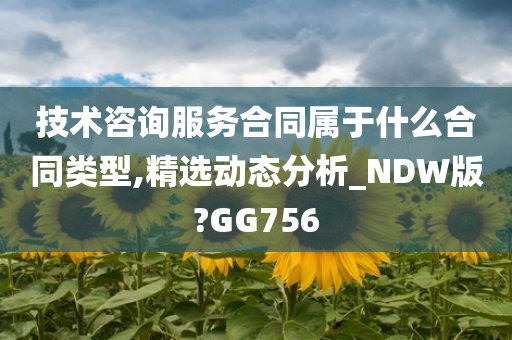 技术咨询服务合同属于什么合同类型,精选动态分析_NDW版?GG756