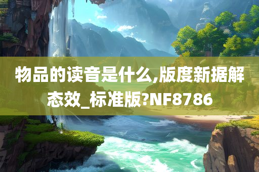 物品的读音是什么,版度新据解态效_标准版?NF8786