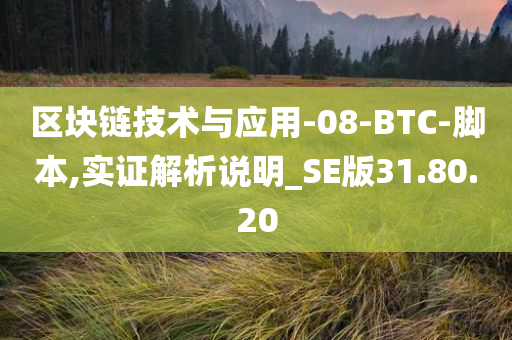 区块链技术与应用-08-BTC-脚本,实证解析说明_SE版31.80.20