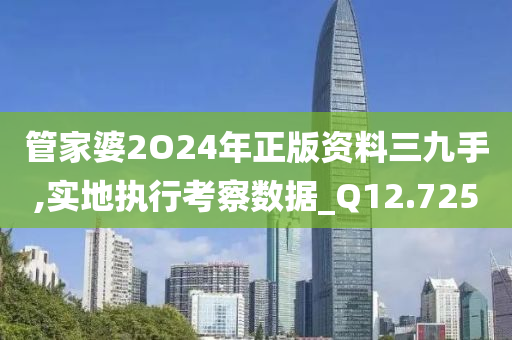 管家婆2O24年正版资料三九手,实地执行考察数据_Q12.725