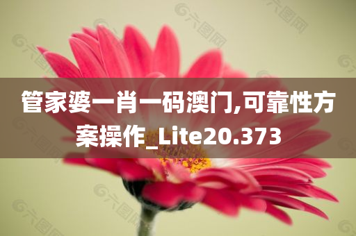 管家婆一肖一码澳门,可靠性方案操作_Lite20.373