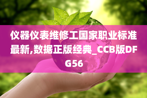 仪器仪表维修工国家职业标准最新,数据正版经典_CCB版DFG56