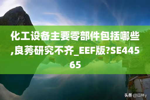 化工设备主要零部件包括哪些,良莠研究不齐_EEF版?SE44565