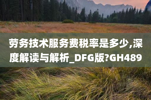 劳务技术服务费税率是多少,深度解读与解析_DFG版?GH489