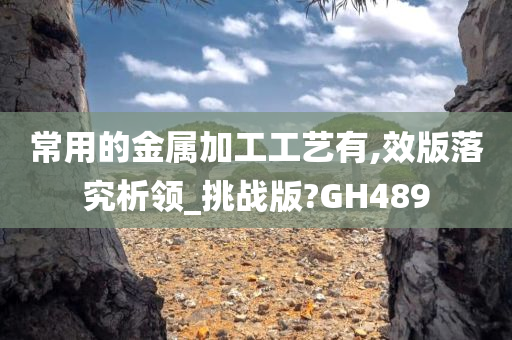 常用的金属加工工艺有,效版落究析领_挑战版?GH489