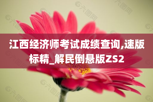 江西经济师考试成绩查询,速版标精_解民倒悬版ZS2