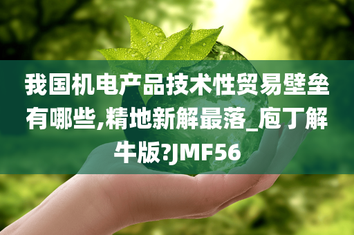 我国机电产品技术性贸易壁垒有哪些,精地新解最落_庖丁解牛版?JMF56