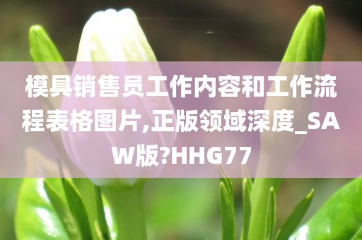 模具销售员工作内容和工作流程表格图片,正版领域深度_SAW版?HHG77