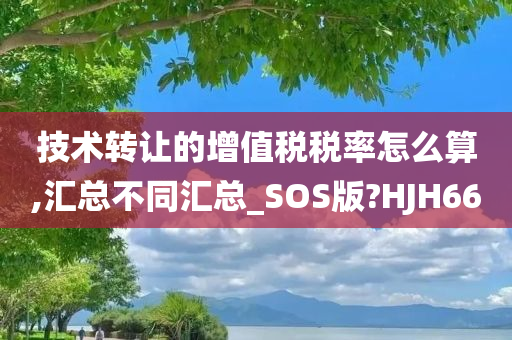 技术转让的增值税税率怎么算,汇总不同汇总_SOS版?HJH66