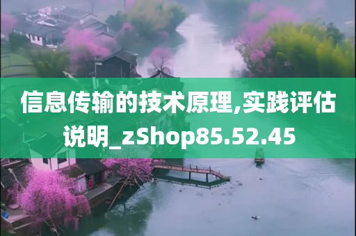 信息传输的技术原理,实践评估说明_zShop85.52.45