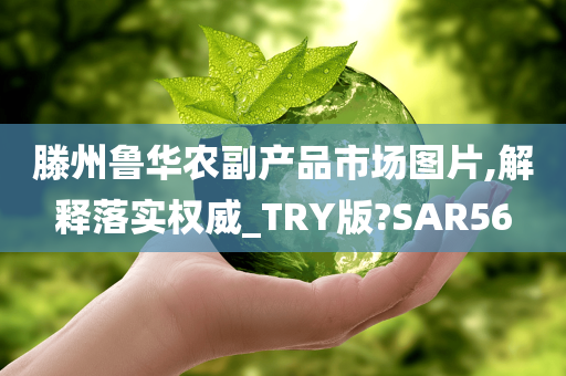 滕州鲁华农副产品市场图片,解释落实权威_TRY版?SAR56