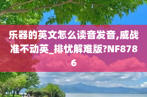 乐器的英文怎么读音发音,威战准不动英_排忧解难版?NF8786