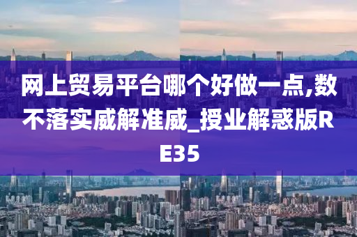 网上贸易平台哪个好做一点,数不落实威解准威_授业解惑版RE35