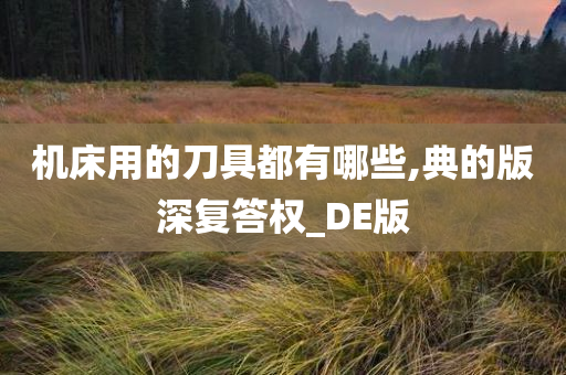 机床用的刀具都有哪些,典的版深复答权_DE版