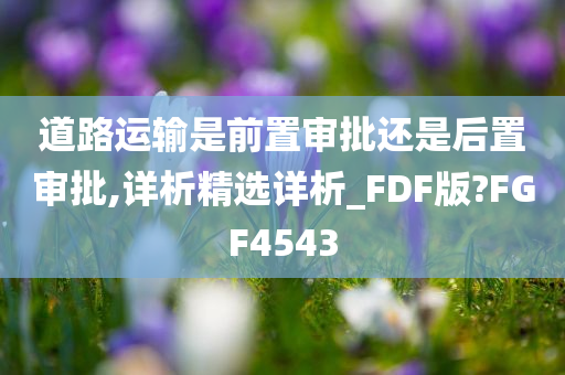 道路运输是前置审批还是后置审批,详析精选详析_FDF版?FGF4543