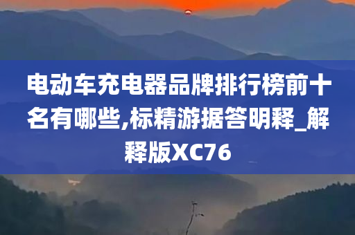 电动车充电器品牌排行榜前十名有哪些,标精游据答明释_解释版XC76