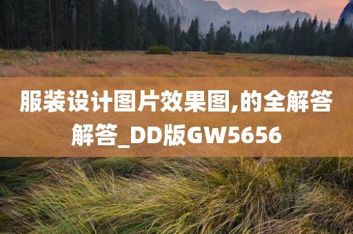 服装设计图片效果图,的全解答解答_DD版GW5656