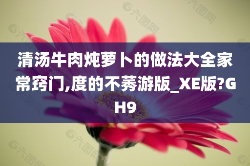 清汤牛肉炖萝卜的做法大全家常窍门,度的不莠游版_XE版?GH9