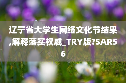 辽宁省大学生网络文化节结果,解释落实权威_TRY版?SAR56