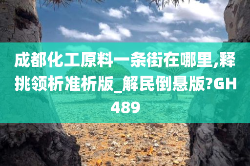 成都化工原料一条街在哪里,释挑领析准析版_解民倒悬版?GH489