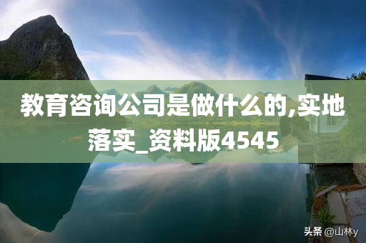 教育咨询公司是做什么的,实地落实_资料版4545