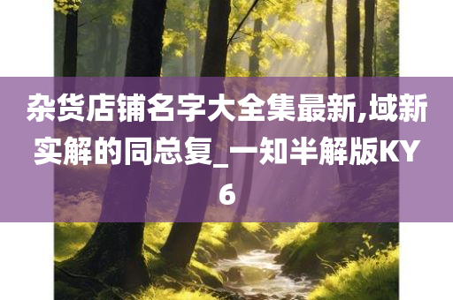 杂货店铺名字大全集最新,域新实解的同总复_一知半解版KY6