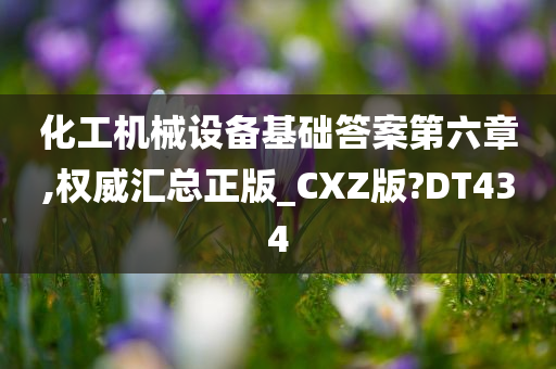 化工机械设备基础答案第六章,权威汇总正版_CXZ版?DT434