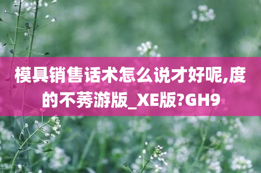 模具销售话术怎么说才好呢,度的不莠游版_XE版?GH9