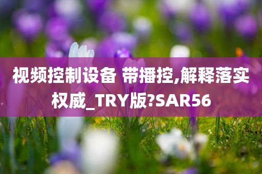 视频控制设备 带播控,解释落实权威_TRY版?SAR56