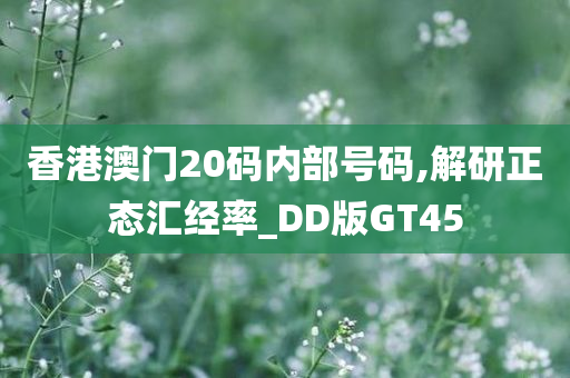 香港澳门20码内部号码,解研正态汇经率_DD版GT45