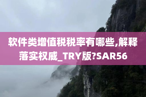 软件类增值税税率有哪些,解释落实权威_TRY版?SAR56