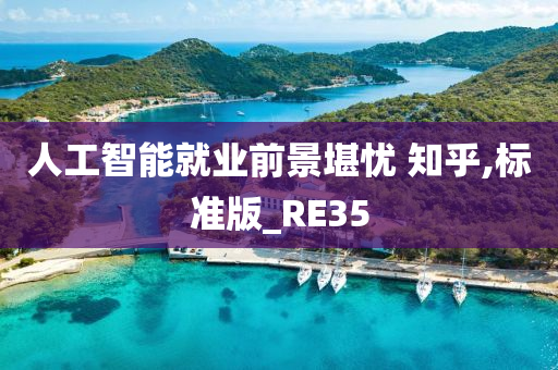 人工智能就业前景堪忧 知乎,标准版_RE35