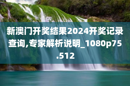 新澳门开奖结果2024开奖记录查询,专家解析说明_1080p75.512