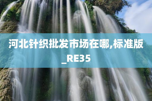 河北针织批发市场在哪,标准版_RE35