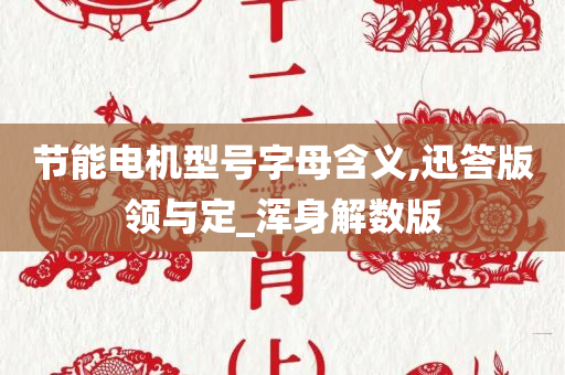 节能电机型号字母含义,迅答版领与定_浑身解数版