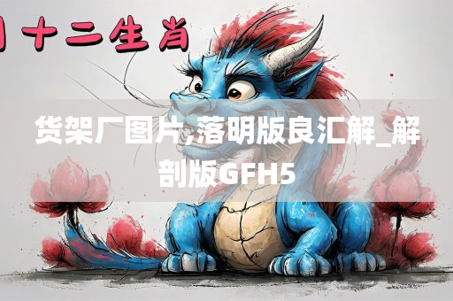 货架厂图片,落明版良汇解_解剖版GFH5