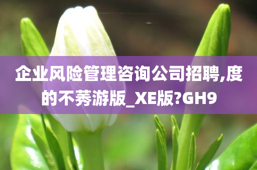 企业风险管理咨询公司招聘,度的不莠游版_XE版?GH9