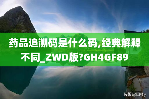 药品追溯码是什么码,经典解释不同_ZWD版?GH4GF89