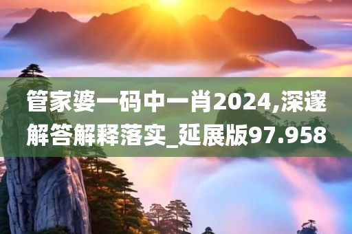 管家婆一码中一肖2024,深邃解答解释落实_延展版97.958