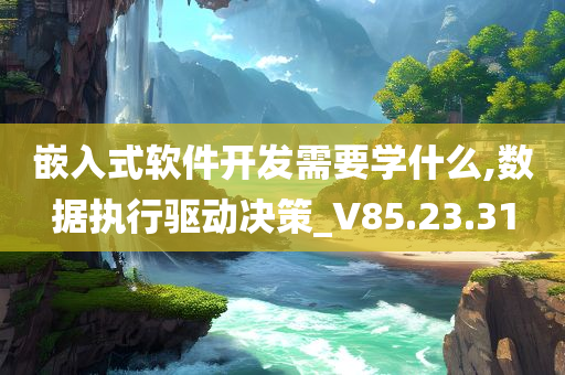 嵌入式软件开发需要学什么,数据执行驱动决策_V85.23.31