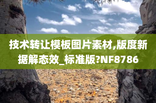 技术转让模板图片素材,版度新据解态效_标准版?NF8786