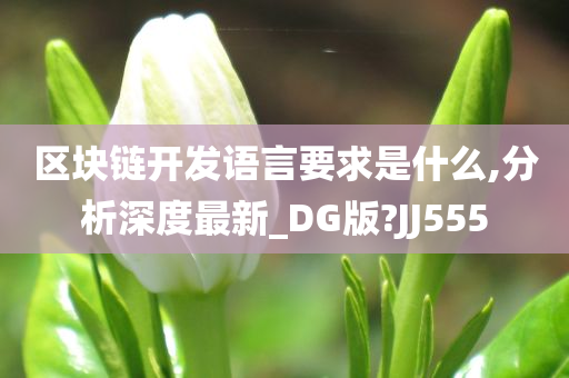 区块链开发语言要求是什么,分析深度最新_DG版?JJ555