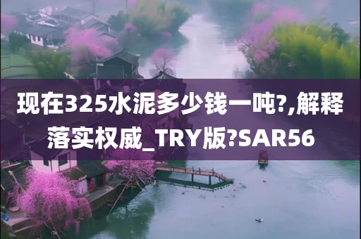 现在325水泥多少钱一吨?,解释落实权威_TRY版?SAR56