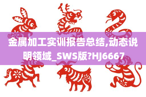 金属加工实训报告总结,动态说明领域_SWS版?HJ6667