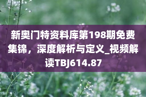 新奥门特资料库第198期免费集锦，深度解析与定义_视频解读TBJ614.87