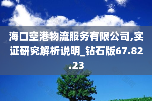 海口空港物流服务有限公司,实证研究解析说明_钻石版67.82.23