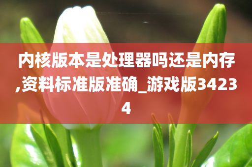 内核版本是处理器吗还是内存,资料标准版准确_游戏版34234