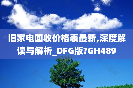 旧家电回收价格表最新,深度解读与解析_DFG版?GH489